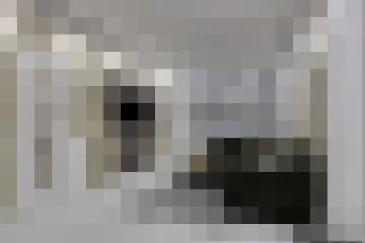 Huniadijk 504 Rotterdam thumbnail 5