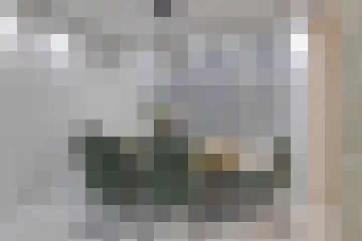 Huniadijk 504 Rotterdam thumbnail 7