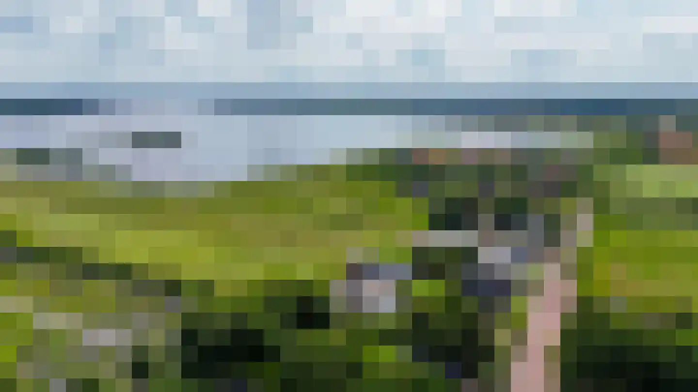 Huningaweg 44 A Oostwold thumbnail 33