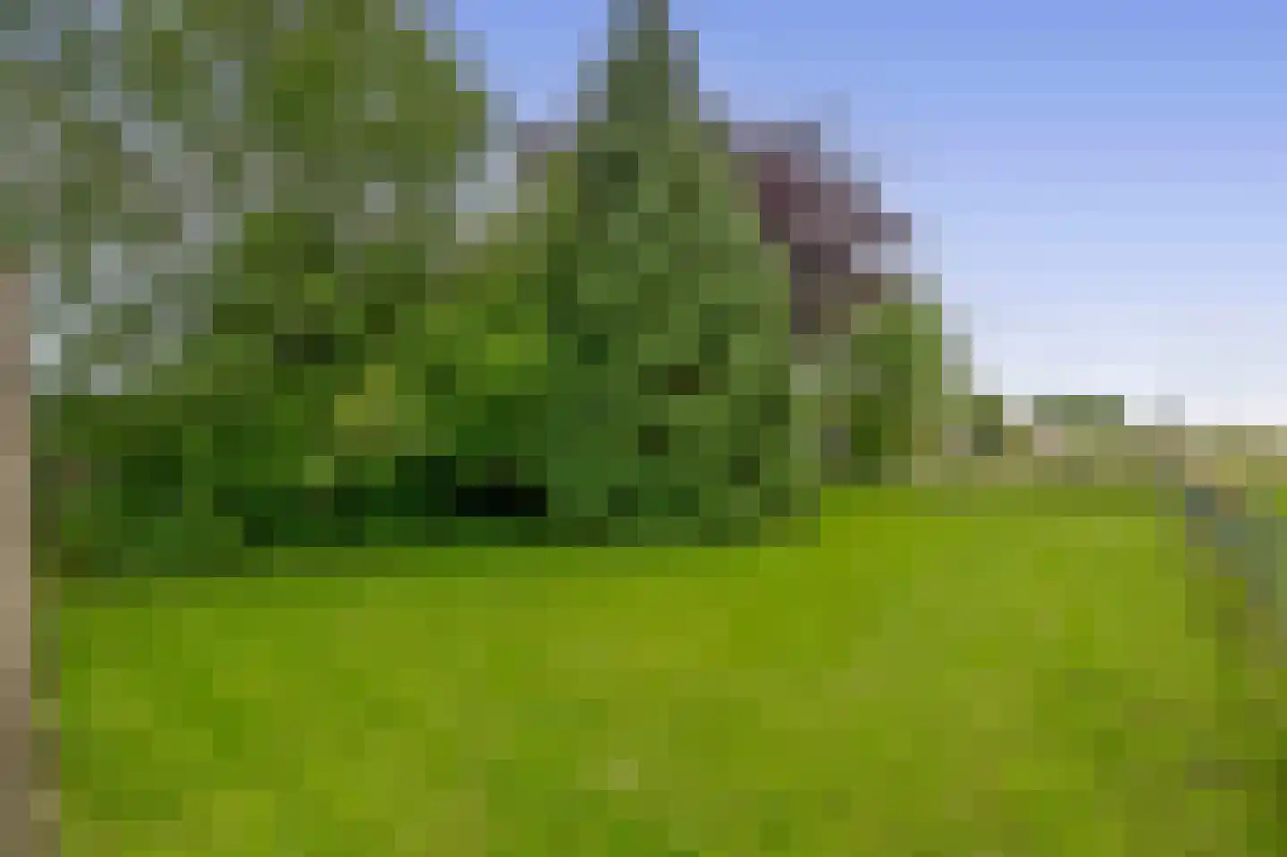 Huningaweg 44 A Oostwold thumbnail 37