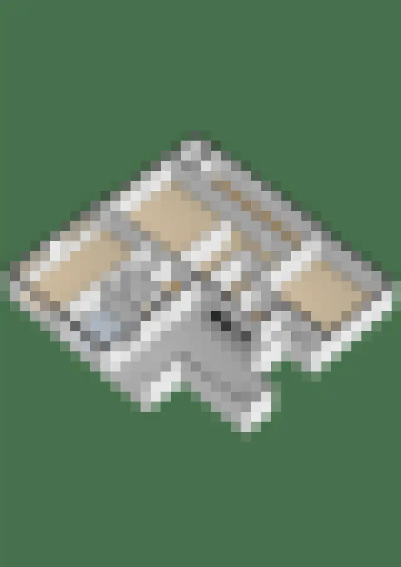 Huningaweg 44 A Oostwold thumbnail 38