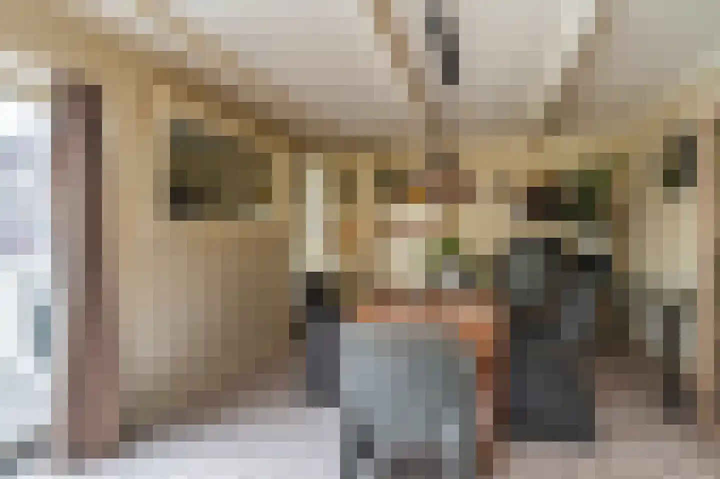 Huningaweg 48 Oostwold thumbnail 14