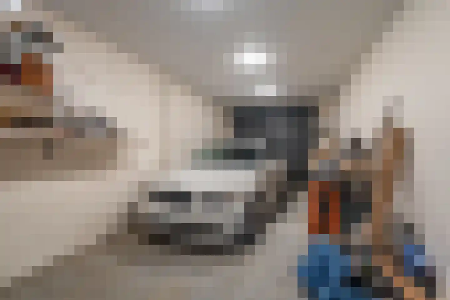 Huningaweg 48 Oostwold thumbnail 20