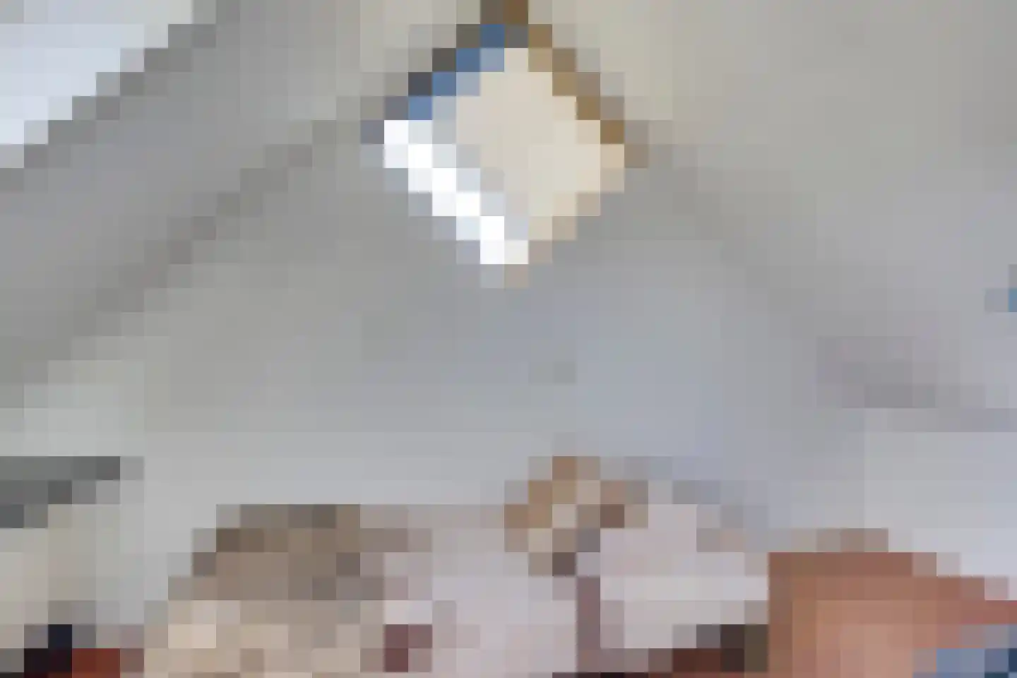 Hunnenberg 4 Veldhoven thumbnail 24