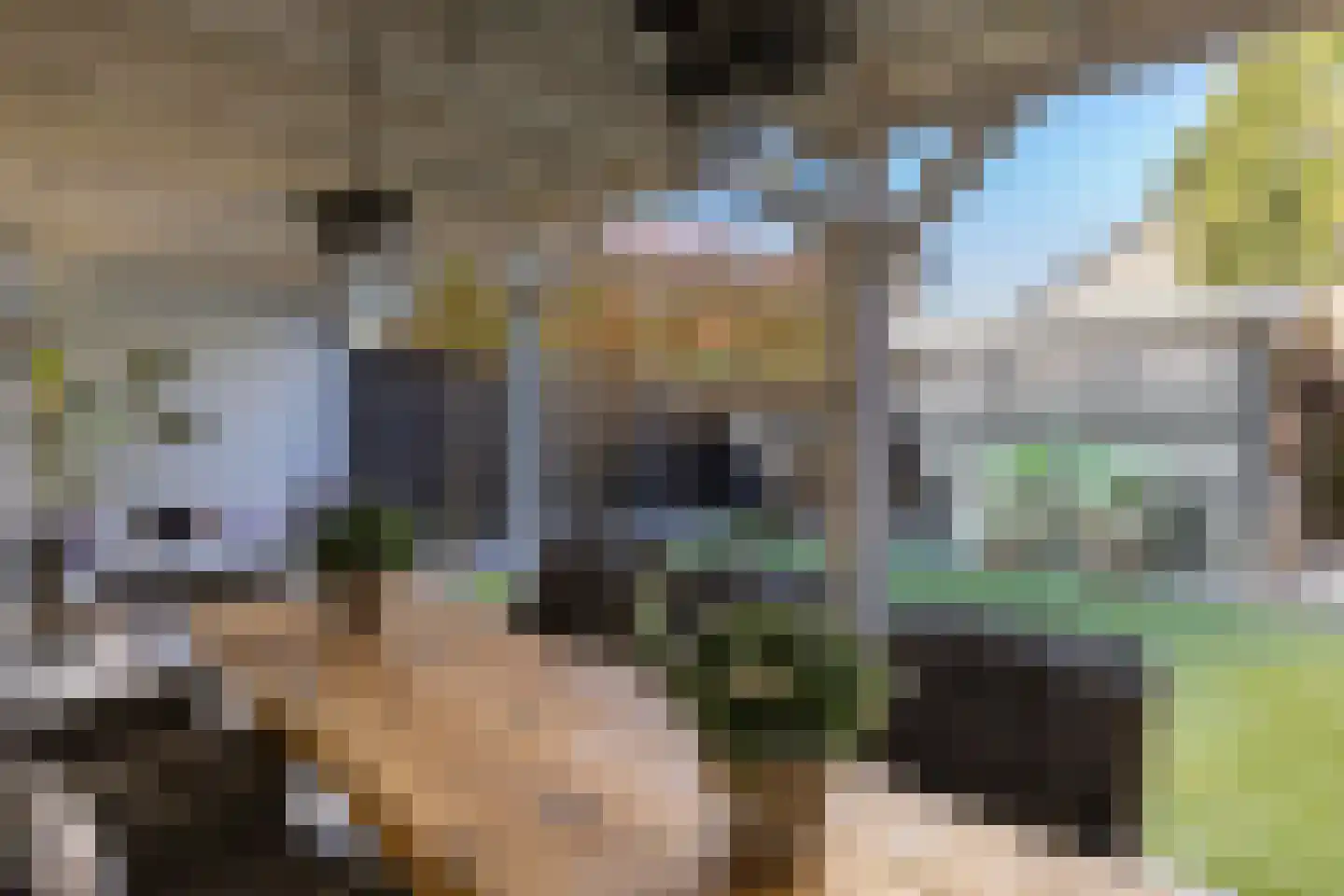 Hunnenberg 4 Veldhoven thumbnail 30