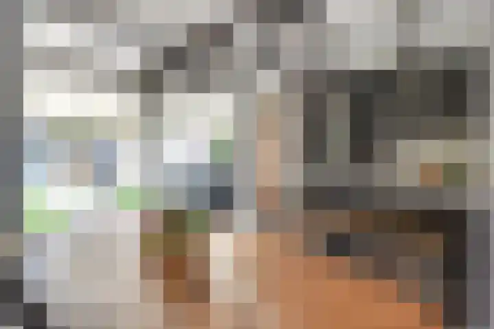 Hunnenberg 8 Veldhoven thumbnail 10