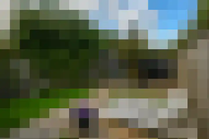 Hunnenberg 8 Veldhoven thumbnail 33