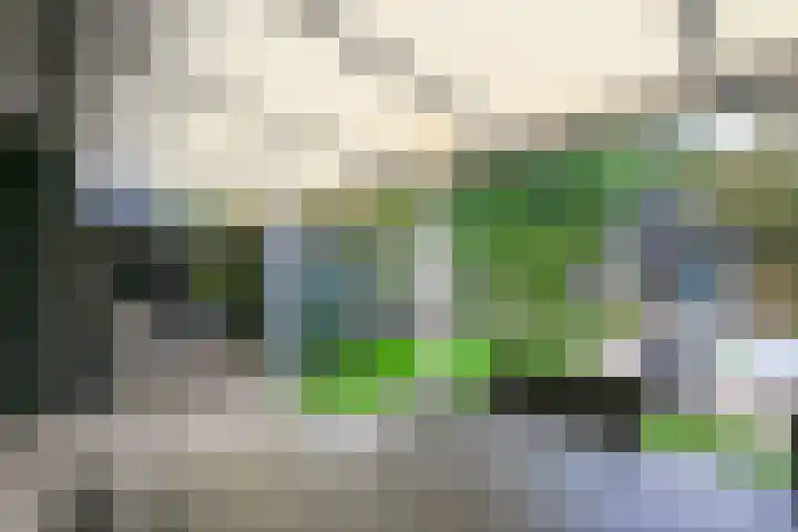 Hunnenberg 8 Veldhoven thumbnail 34