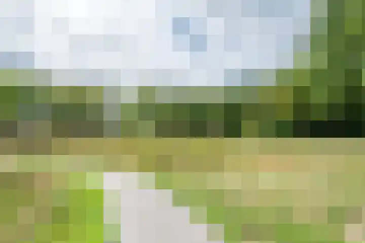 Hunnenberg 8 Veldhoven thumbnail 37