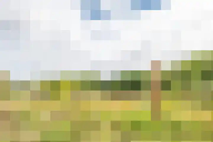 Hunnenberg 8 Veldhoven thumbnail 38