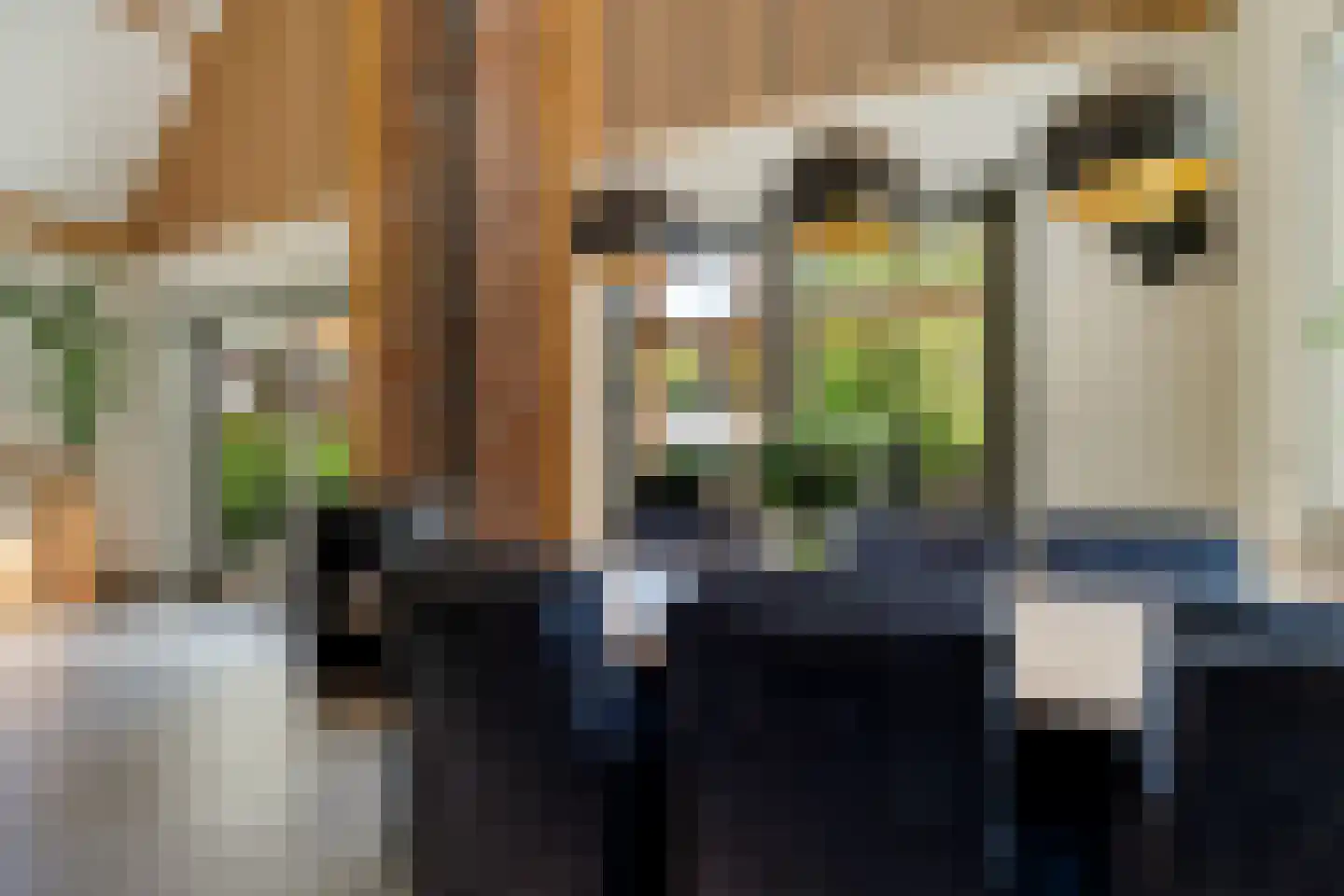 Hunnenpad 10 Putten thumbnail 13