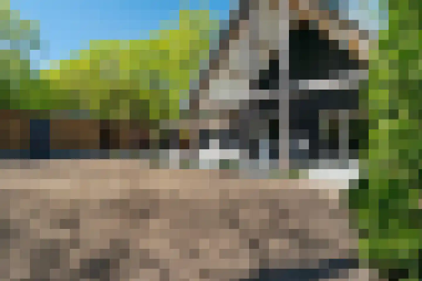 Hunnenpad 10 Putten thumbnail 24