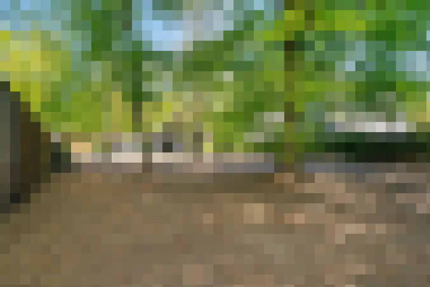 Hunnenpad 10 Putten thumbnail 29