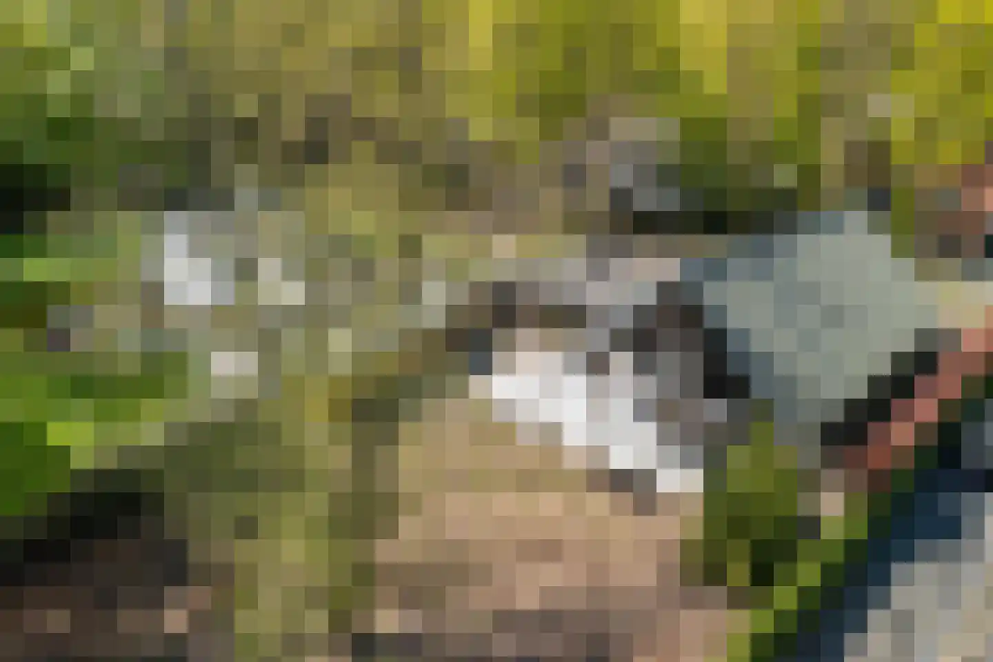 Hunnenpad 10 Putten thumbnail 30