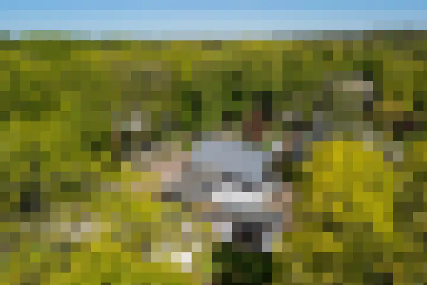 Hunnenpad 10 Putten thumbnail 31