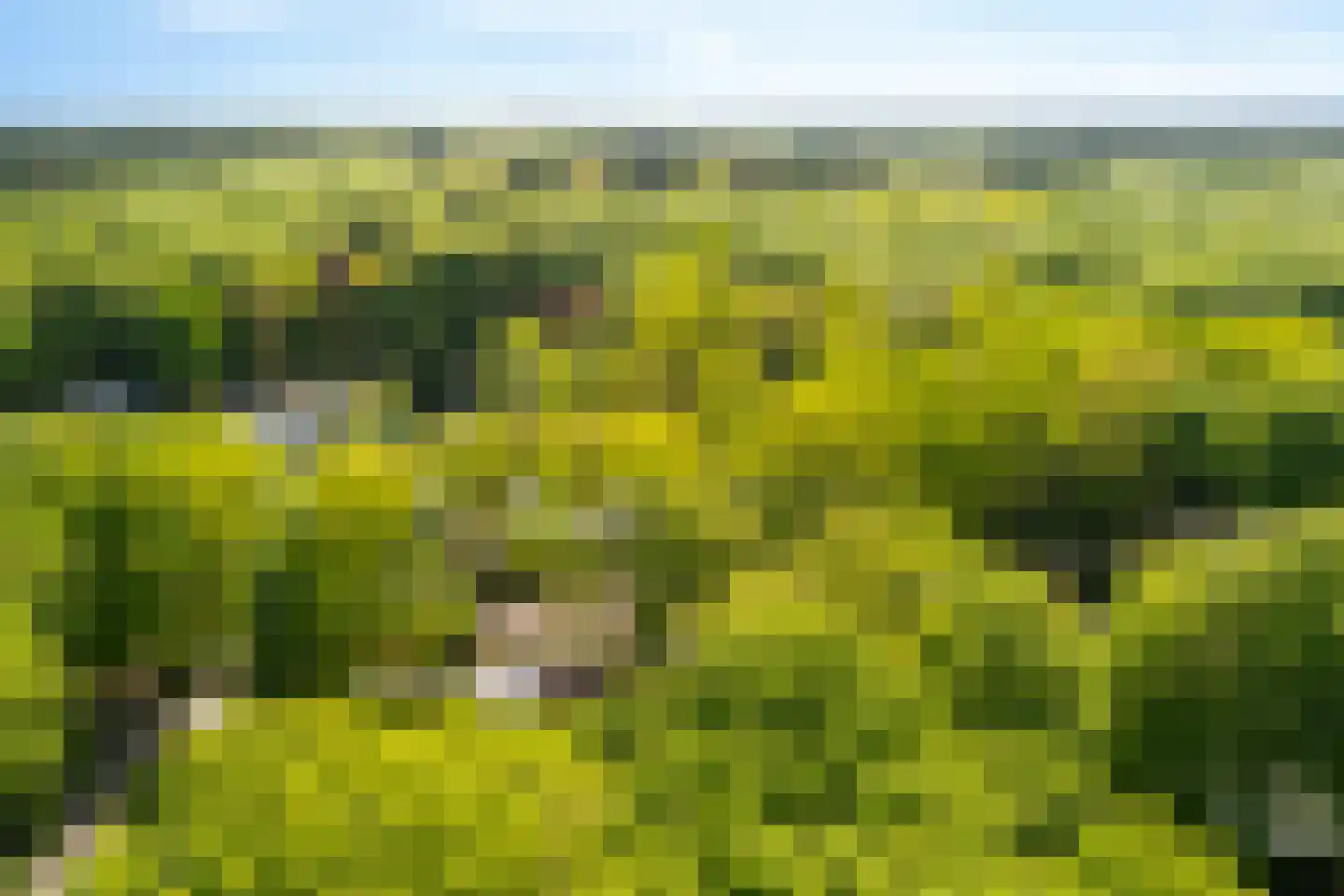 Hunnenpad 10 Putten thumbnail 32