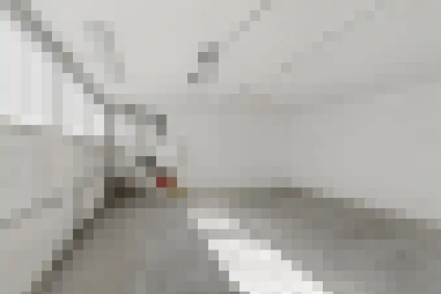 Hunnenpad 19 Putten thumbnail 30