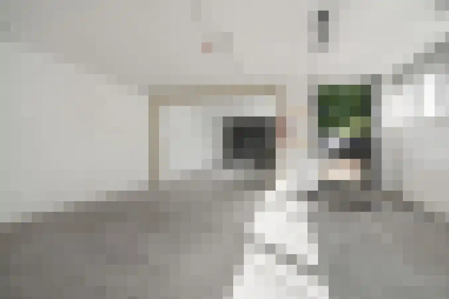 Hunnenpad 19 Putten thumbnail 31
