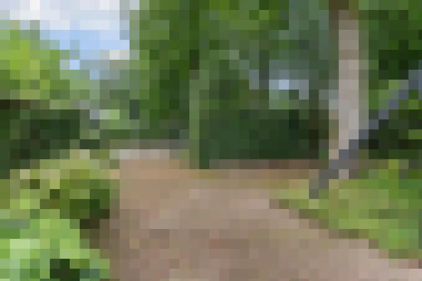 Hunnenpad 19 Putten thumbnail 35