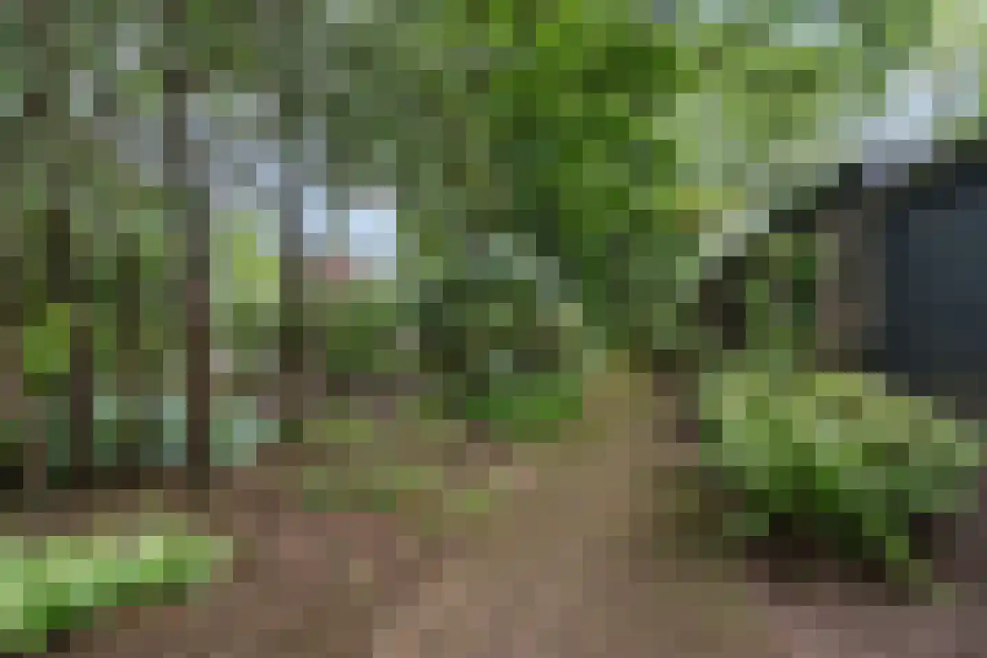 Hunnenpad 19 Putten thumbnail 38