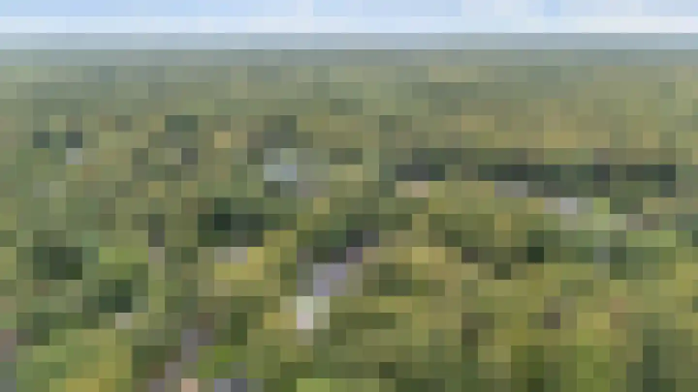 Hunnenpad 19 Putten thumbnail 42