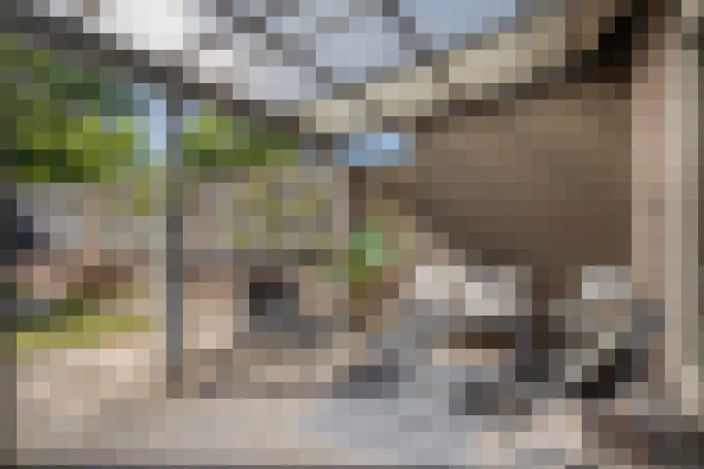 Hunnenveld 11 Arnhem thumbnail 24