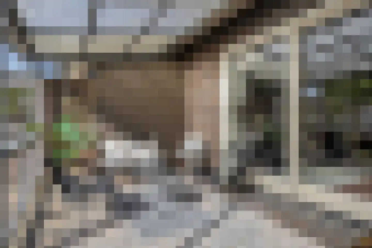 Hunnenveld 11 Arnhem thumbnail 25