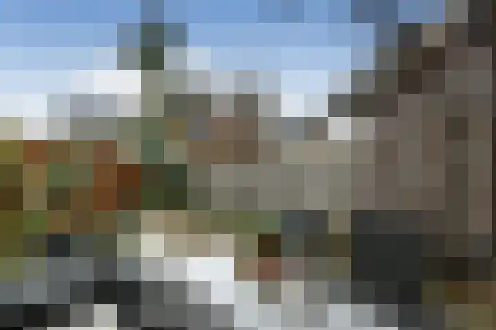 Hunnenveld 23 Arnhem thumbnail 32