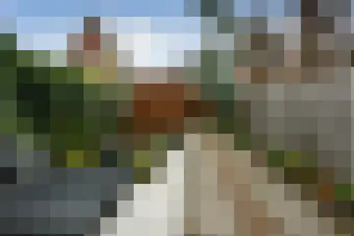 Hunnenveld 23 Arnhem thumbnail 35