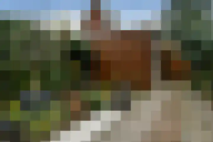 Hunnenveld 23 Arnhem thumbnail 36