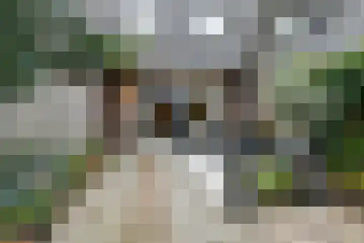 Hunnenveld 23 Arnhem thumbnail 38