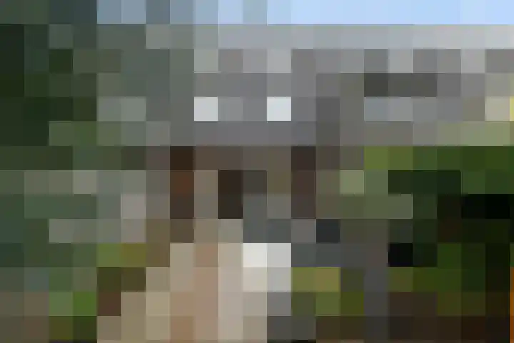 Hunnenveld 23 Arnhem thumbnail 39