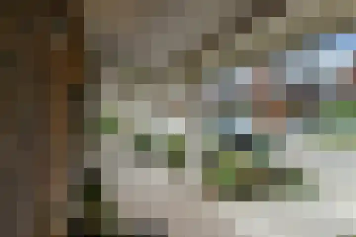Hunnenveld 23 Arnhem thumbnail 44
