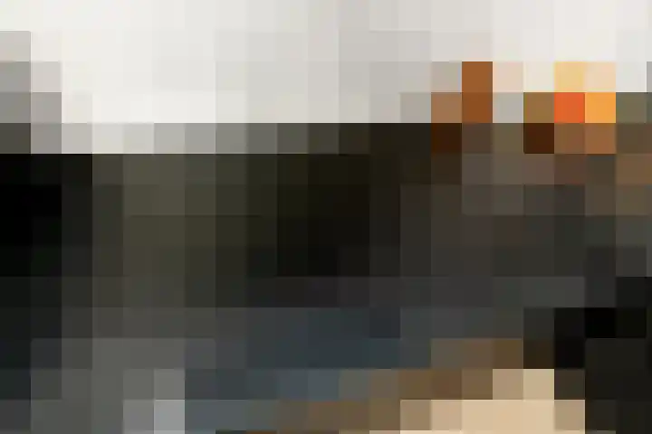 Hunnenveld 39 Arnhem thumbnail 14