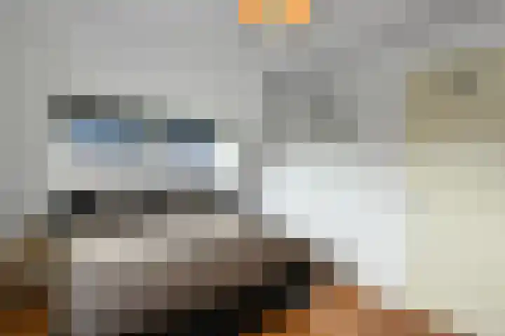 Hunnenveld 39 Arnhem thumbnail 26