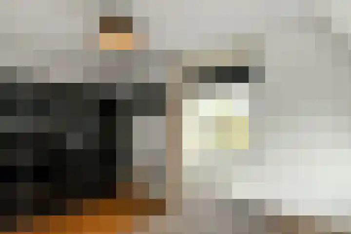 Hunnenveld 39 Arnhem thumbnail 28