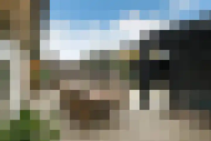 Hunnenveld 39 Arnhem thumbnail 43
