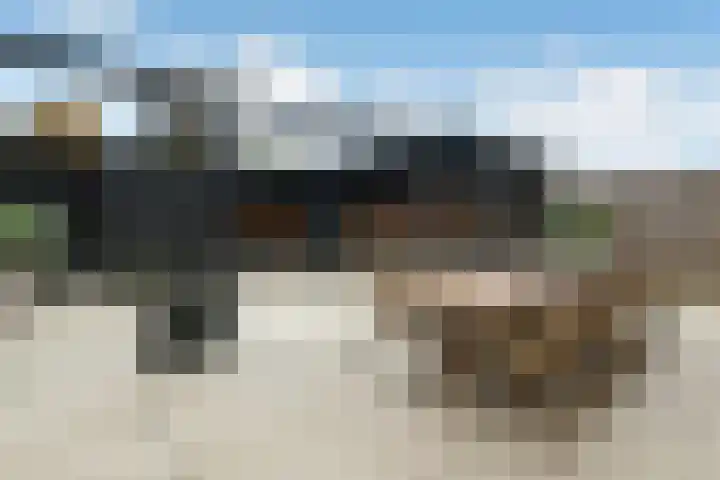 Hunnenveld 39 Arnhem thumbnail 44