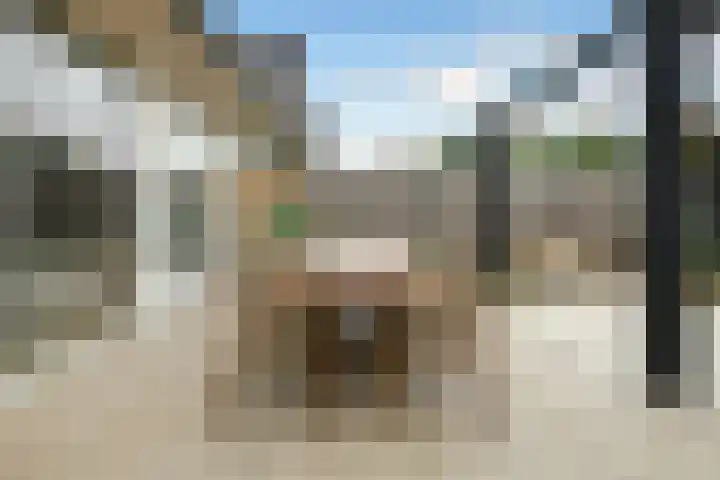 Hunnenveld 39 Arnhem thumbnail 45
