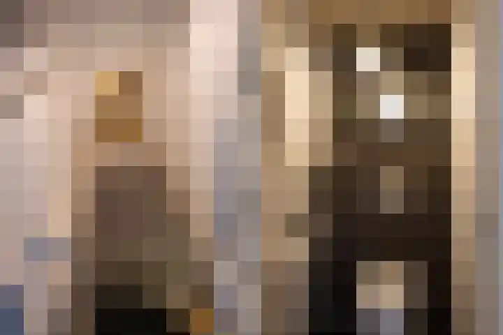 Hunnenweg 10 11 Voorthuizen thumbnail 10