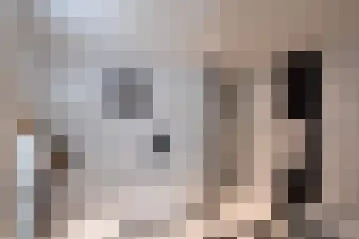 Hunnenweg 10 11 Voorthuizen thumbnail 14