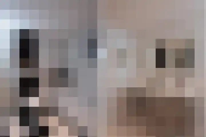 Hunnenweg 10 11 Voorthuizen thumbnail 15