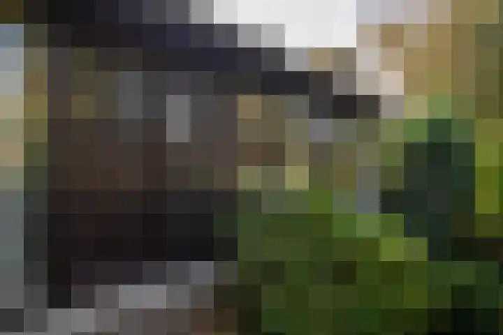 Hunnenweg 10 11 Voorthuizen thumbnail 20