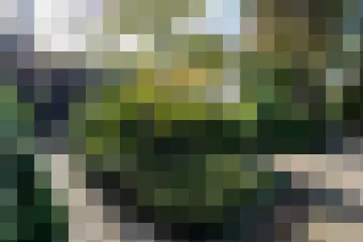 Hunnenweg 10 11 Voorthuizen thumbnail 21