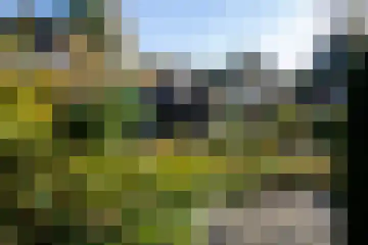 Hunnenweg 10 11 Voorthuizen thumbnail 22