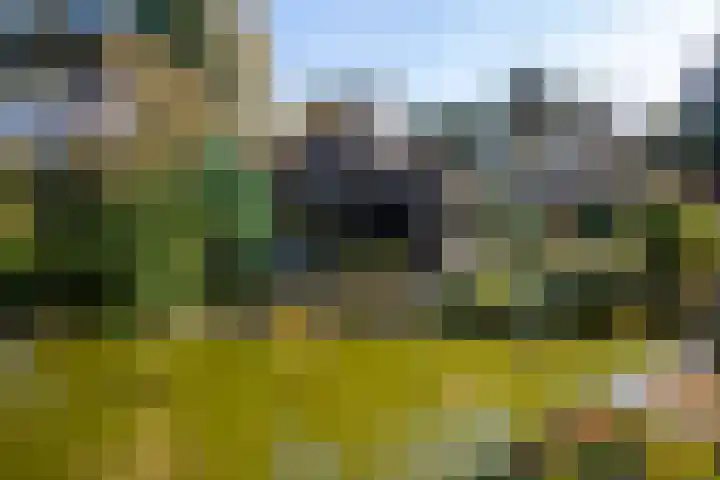 Hunnenweg 10 11 Voorthuizen thumbnail 23