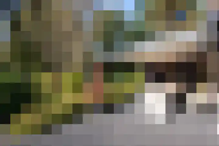Hunnenweg 10 11 Voorthuizen thumbnail 24