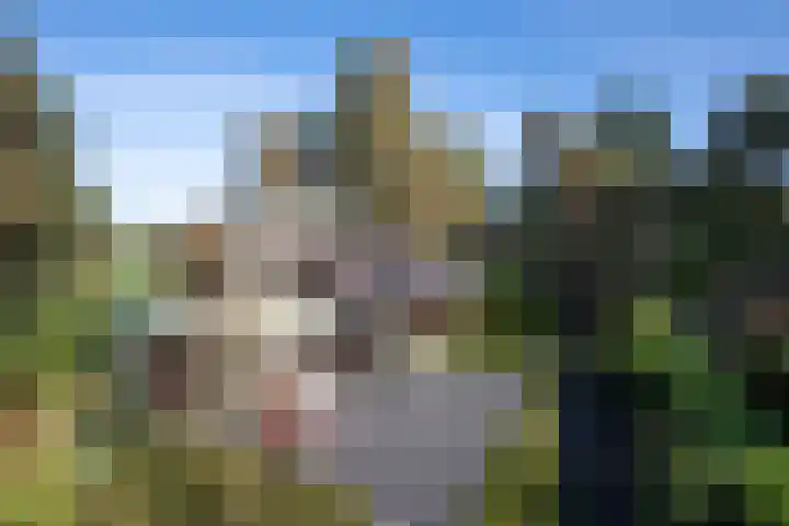 Hunnenweg 10 11 Voorthuizen thumbnail 26