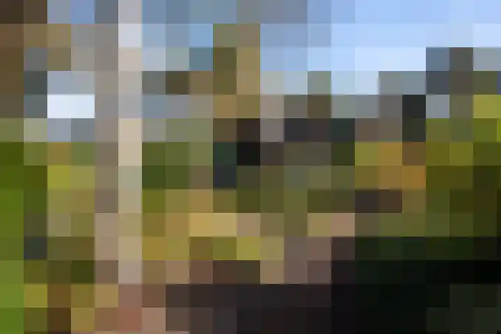 Hunnenweg 10 11 Voorthuizen thumbnail 27