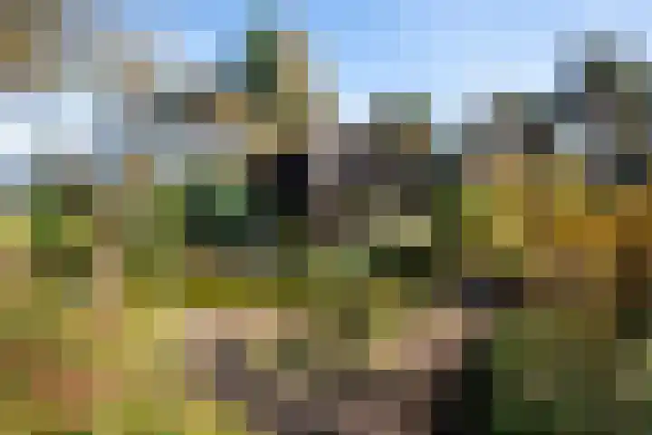 Hunnenweg 10 11 Voorthuizen thumbnail 28